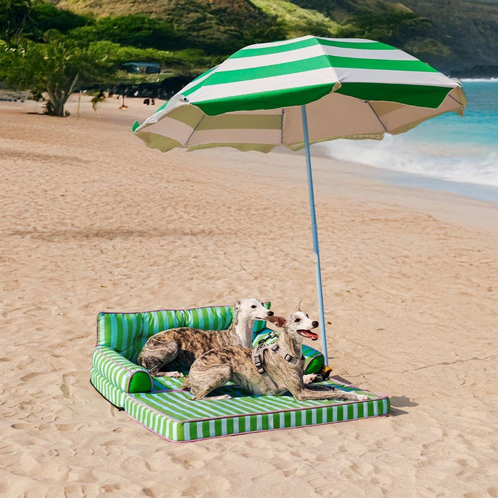 Pawtique SiestaStripe™ Convertible Dog Sofa Bed - Pawtique