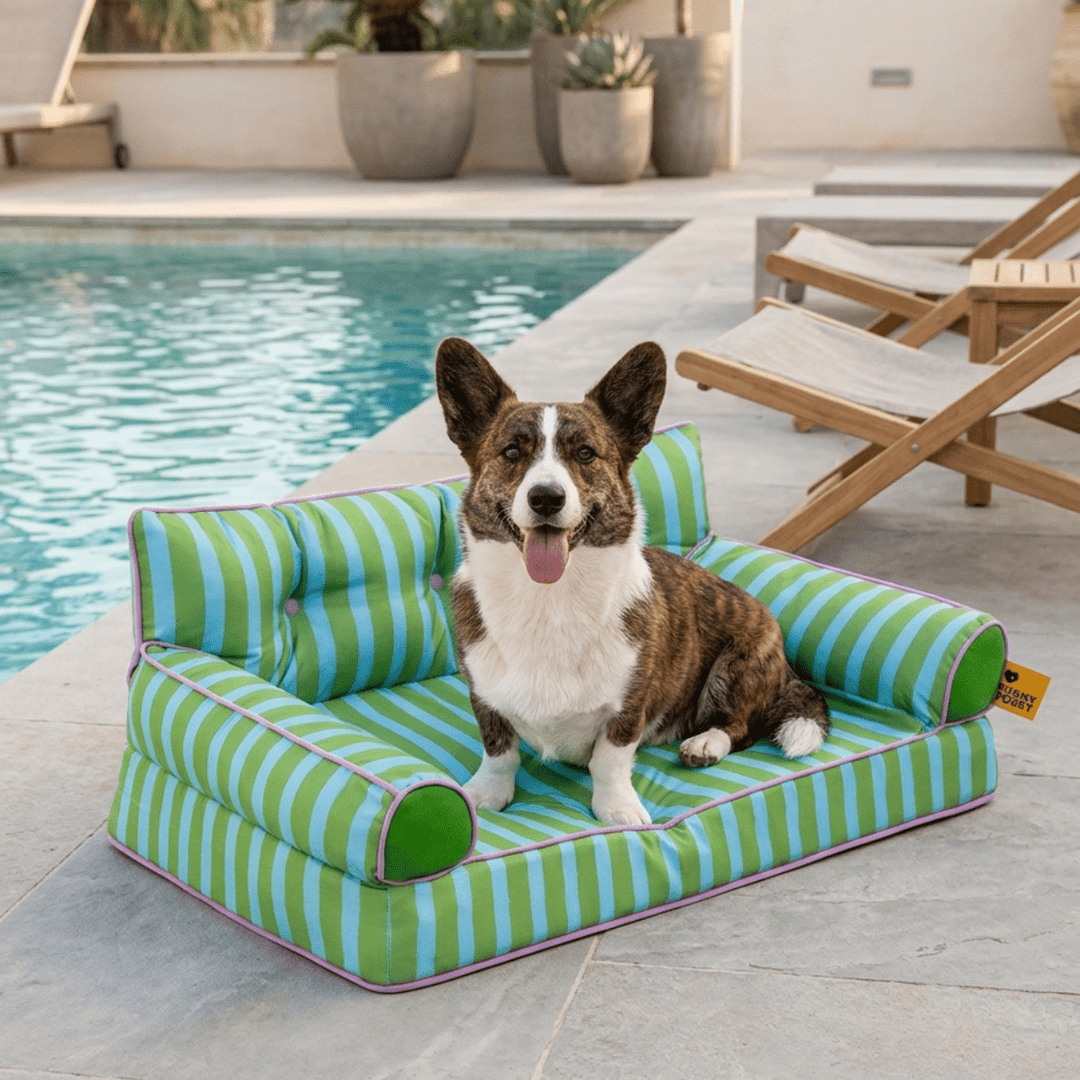 Pawtique SiestaStripe™ Convertible Dog Sofa Bed - Pawtique