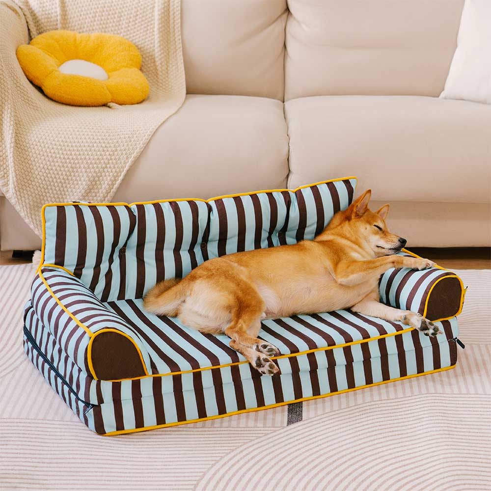 Pawtique SiestaStripe™ Convertible Dog Sofa Bed - Pawtique