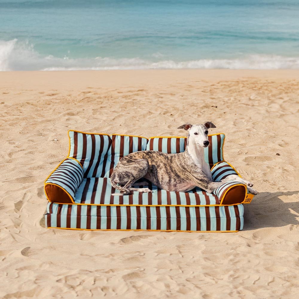 Pawtique SiestaStripe™ Convertible Dog Sofa Bed - Pawtique