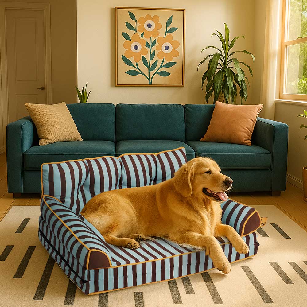 Pawtique SiestaStripe™ Convertible Dog Sofa Bed - Pawtique