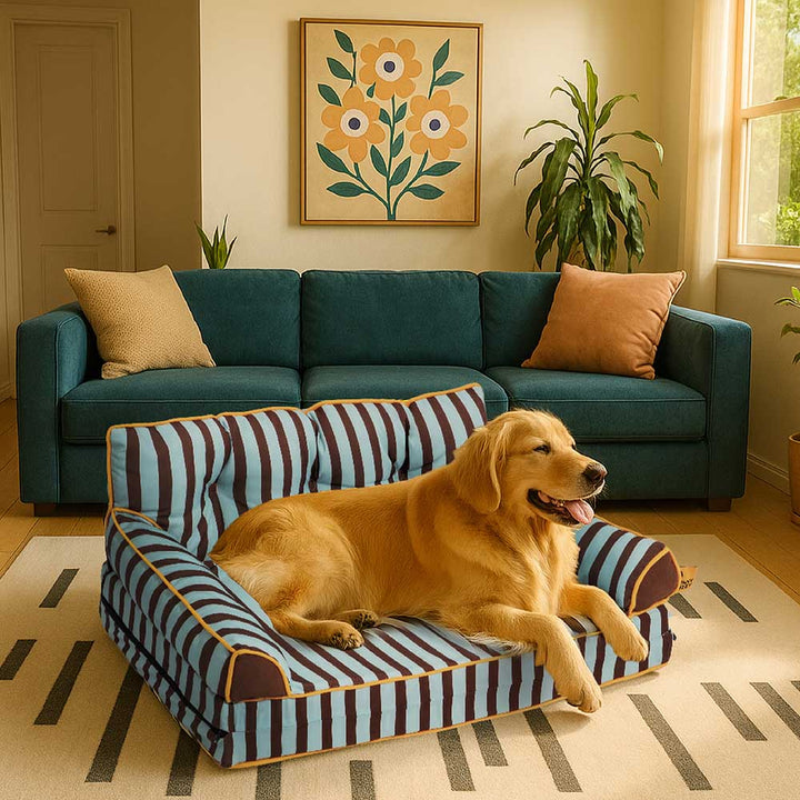 Pawtique SiestaStripe™ Convertible Dog Sofa Bed - Pawtique