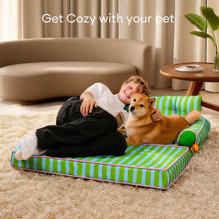 Pawtique SiestaStripe™ Convertible Dog Sofa Bed - Pawtique