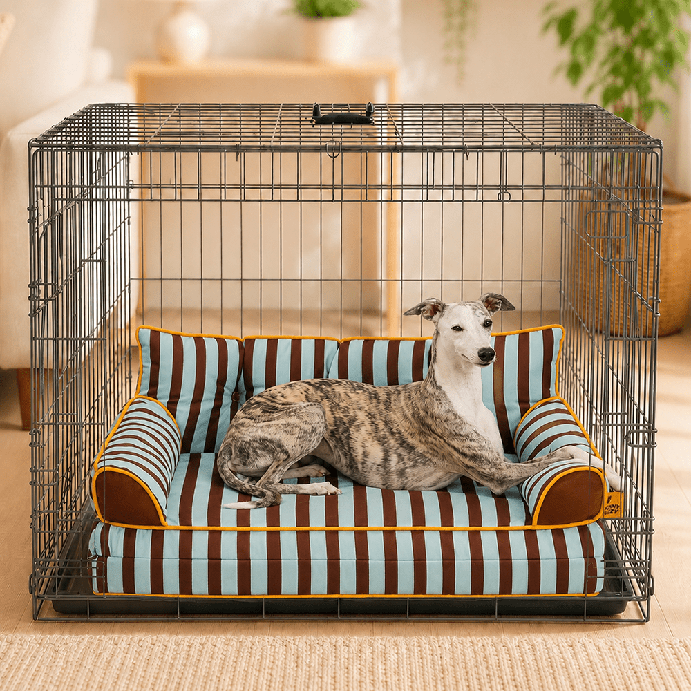Pawtique SiestaStripe™ Convertible Dog Sofa Bed - Pawtique