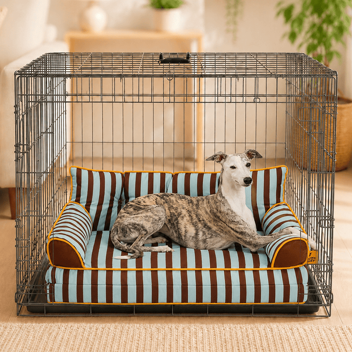 Pawtique SiestaStripe™ Convertible Dog Sofa Bed - Pawtique