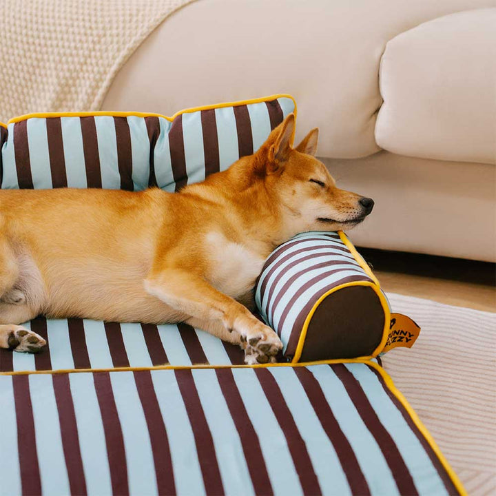 Pawtique SiestaStripe™ Convertible Dog Sofa Bed - Pawtique