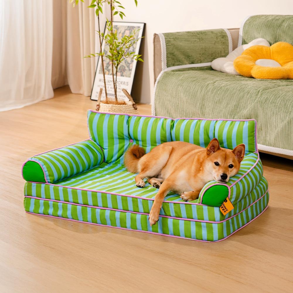 Pawtique SiestaStripe™ Convertible Dog Sofa Bed - Pawtique