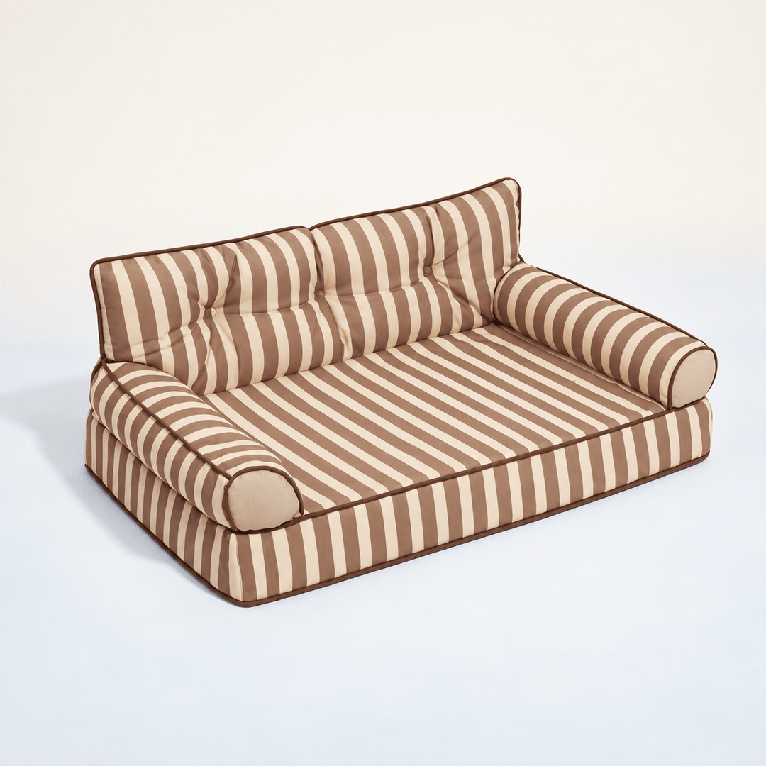 Pawtique SiestaStripe™ Convertible Dog Sofa Bed - Pawtique