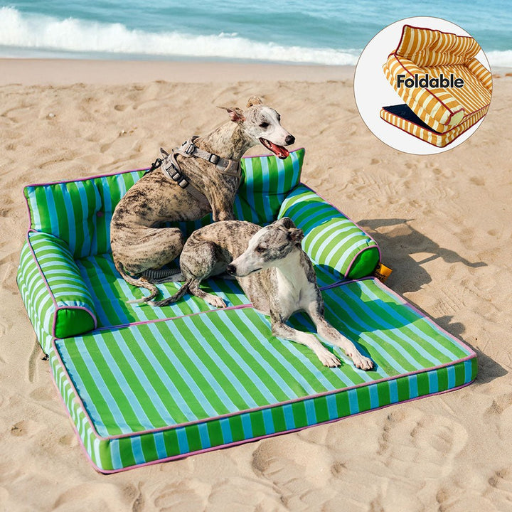 Pawtique SiestaStripe™ Convertible Dog Sofa Bed - Pawtique
