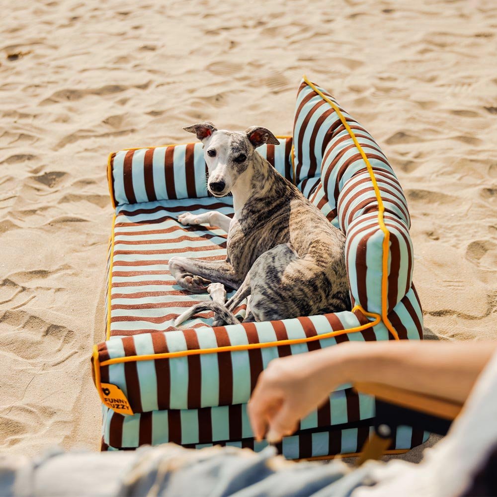Pawtique SiestaStripe™ Convertible Dog Sofa Bed - Pawtique