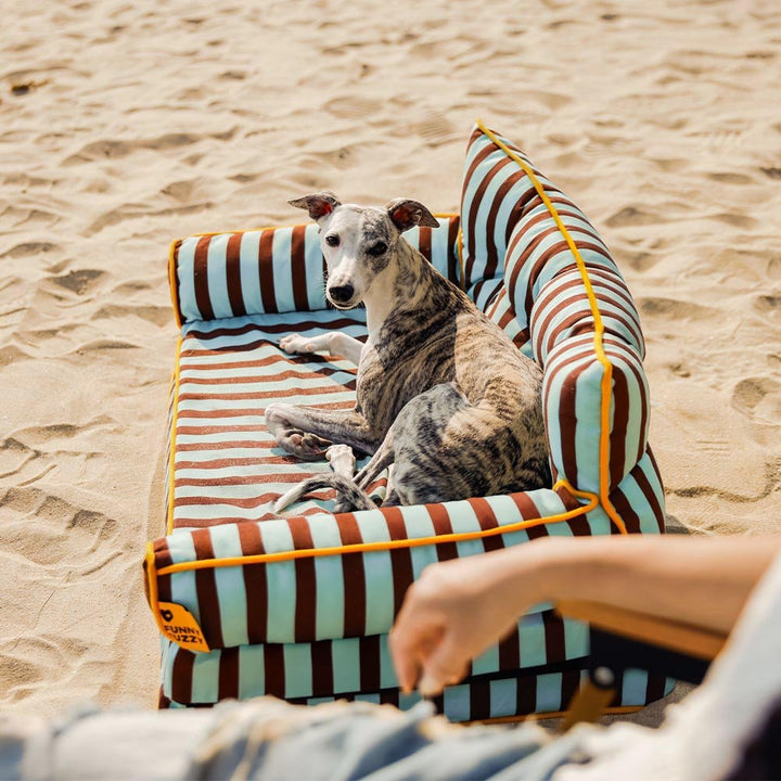 Pawtique SiestaStripe™ Convertible Dog Sofa Bed - Pawtique