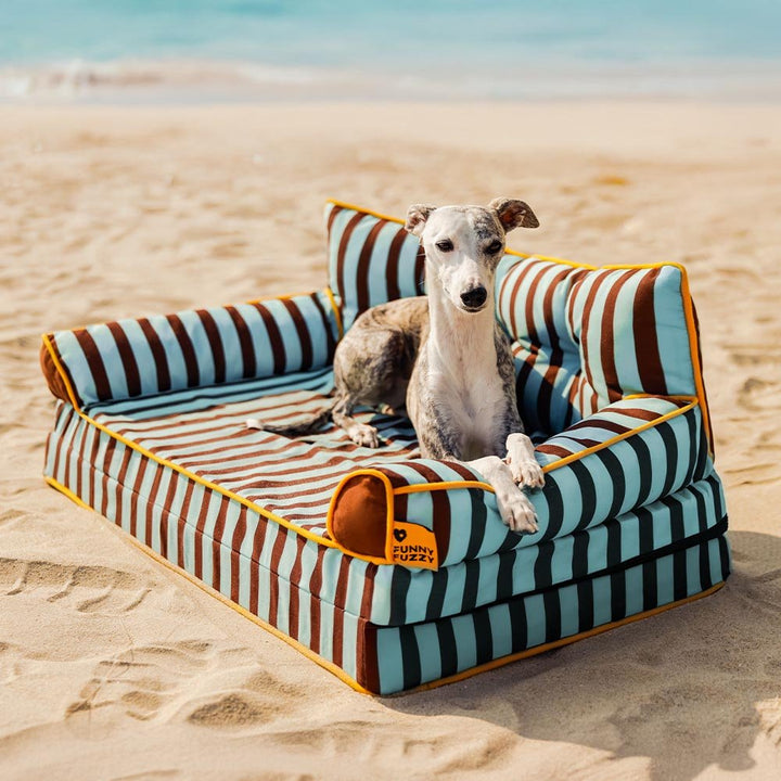 Pawtique SiestaStripe™ Convertible Dog Sofa Bed - Pawtique