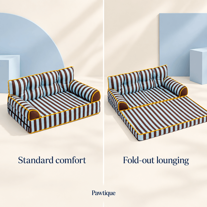 Pawtique SiestaStripe™ Convertible Dog Sofa Bed - Pawtique