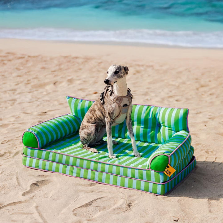 Pawtique SiestaStripe™ Convertible Dog Sofa Bed - Pawtique