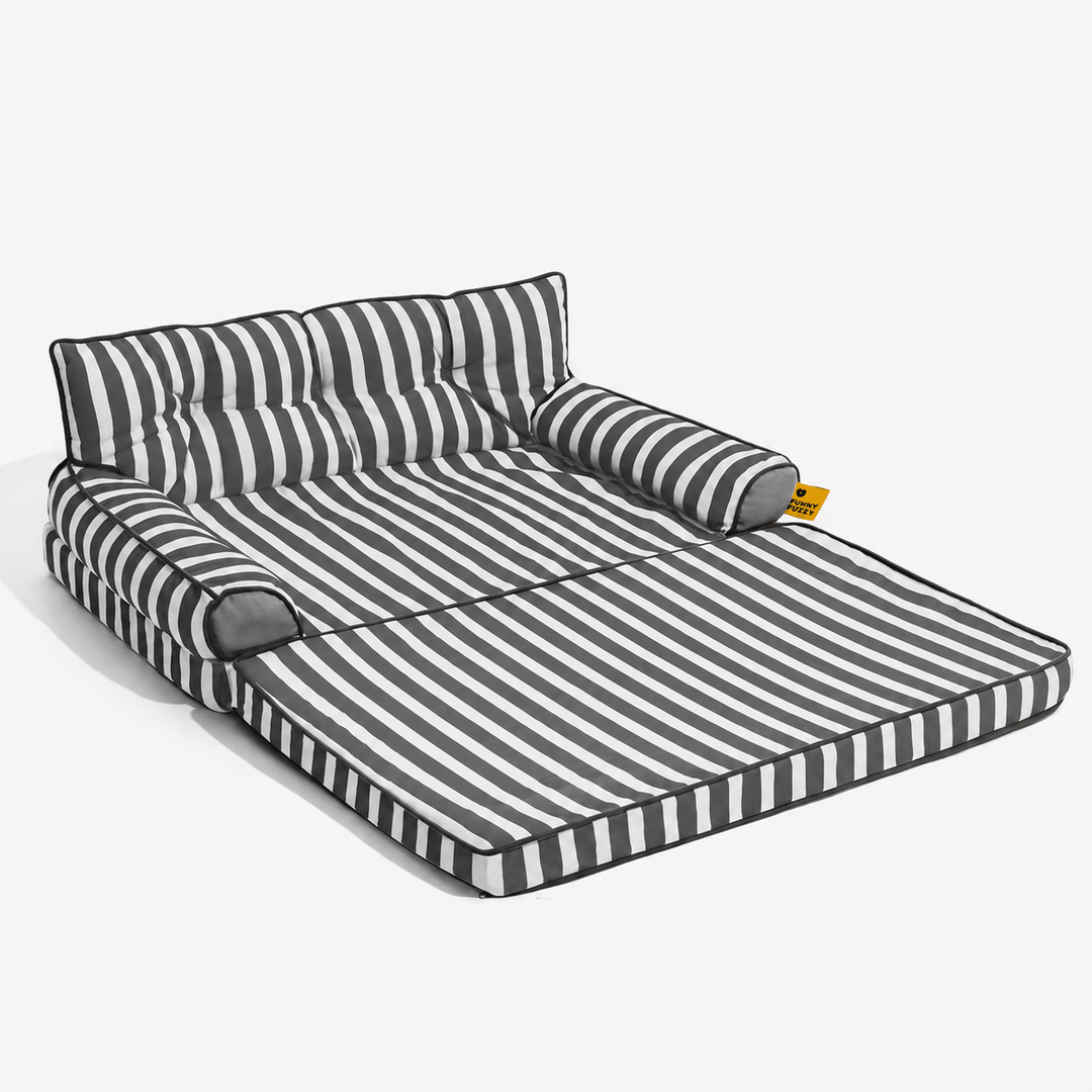 Pawtique SiestaStripe™ Standard or Fold-Out Dog Sofa Bed - Pawtique