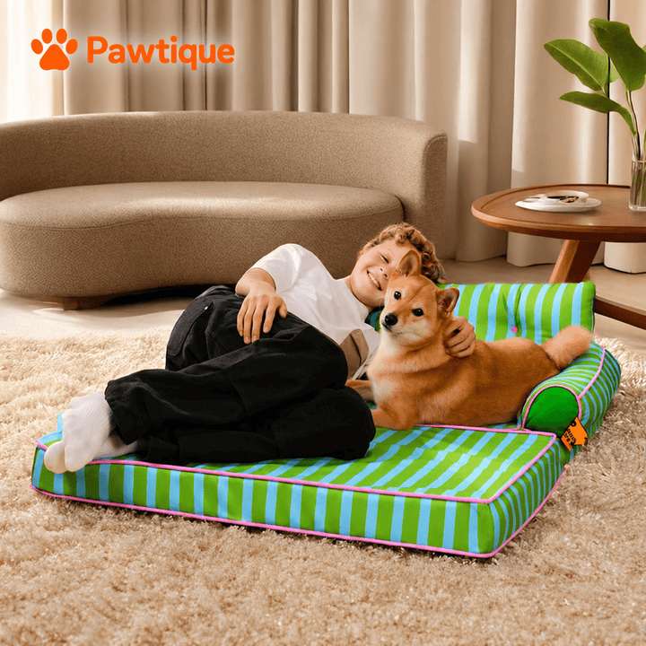 Pawtique SiestaStripe™ Standard or Fold-Out Dog Sofa Bed - Pawtique