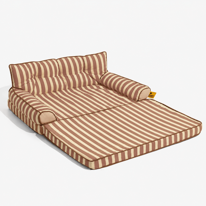 Pawtique SiestaStripe™ Standard or Fold-Out Dog Sofa Bed - Pawtique
