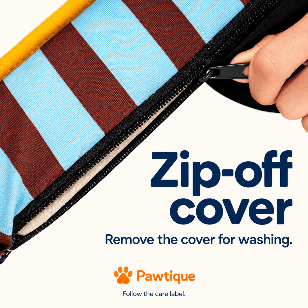 Pawtique SiestaStripe™ Standard or Fold-Out Dog Sofa Bed - Pawtique