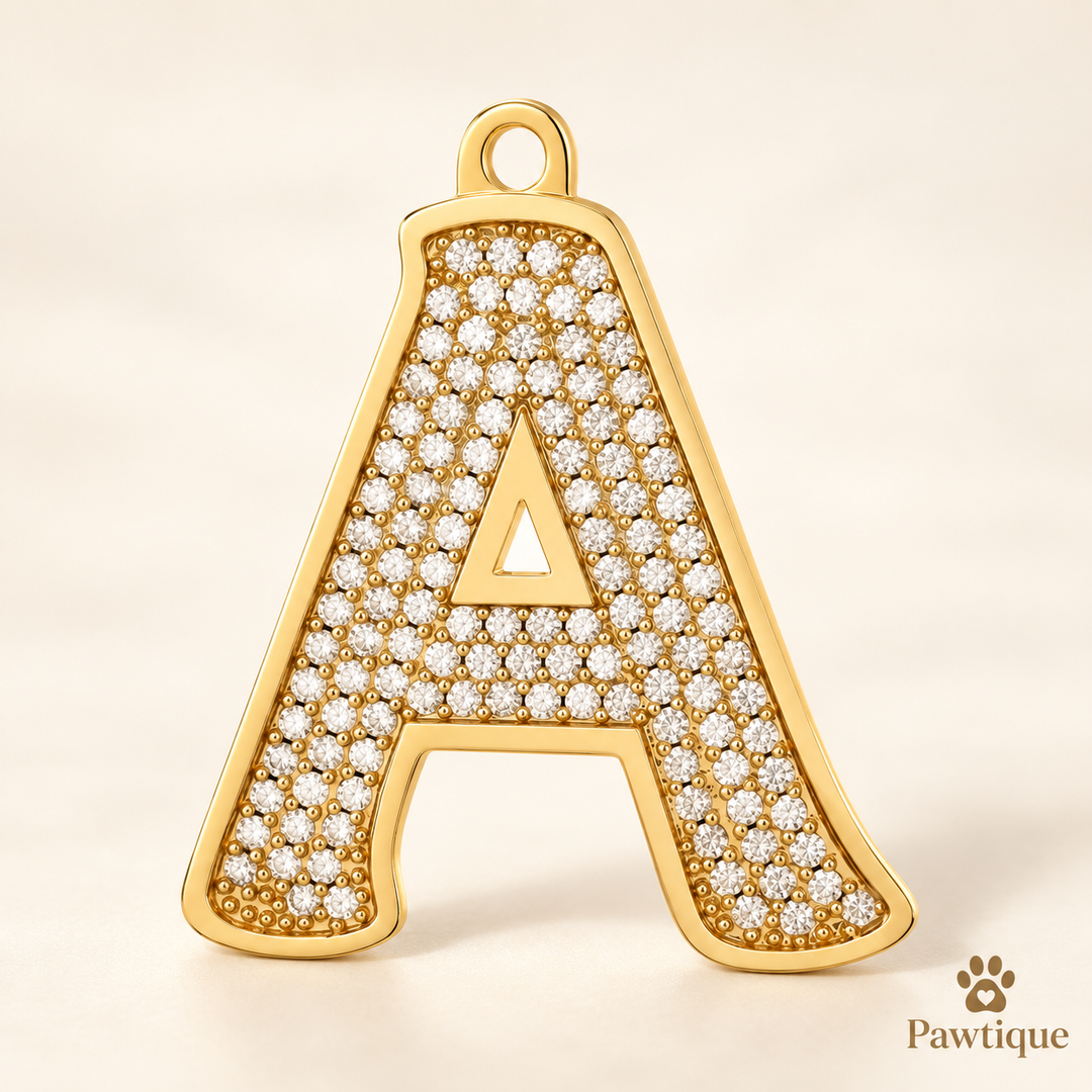 Pawtique gold tone pavé initial dog tag letter A