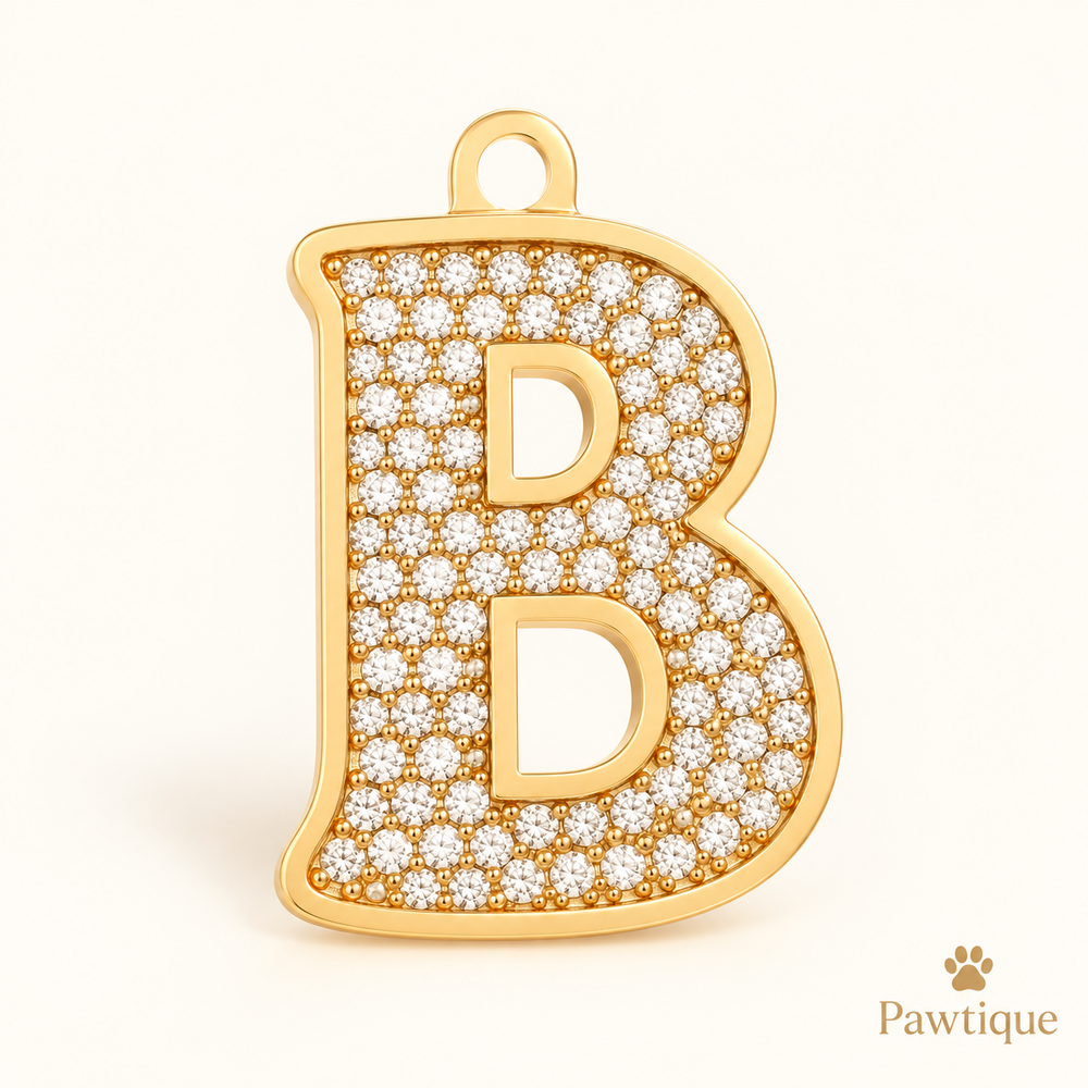 Pawtique gold tone pavé initial dog tag letter B