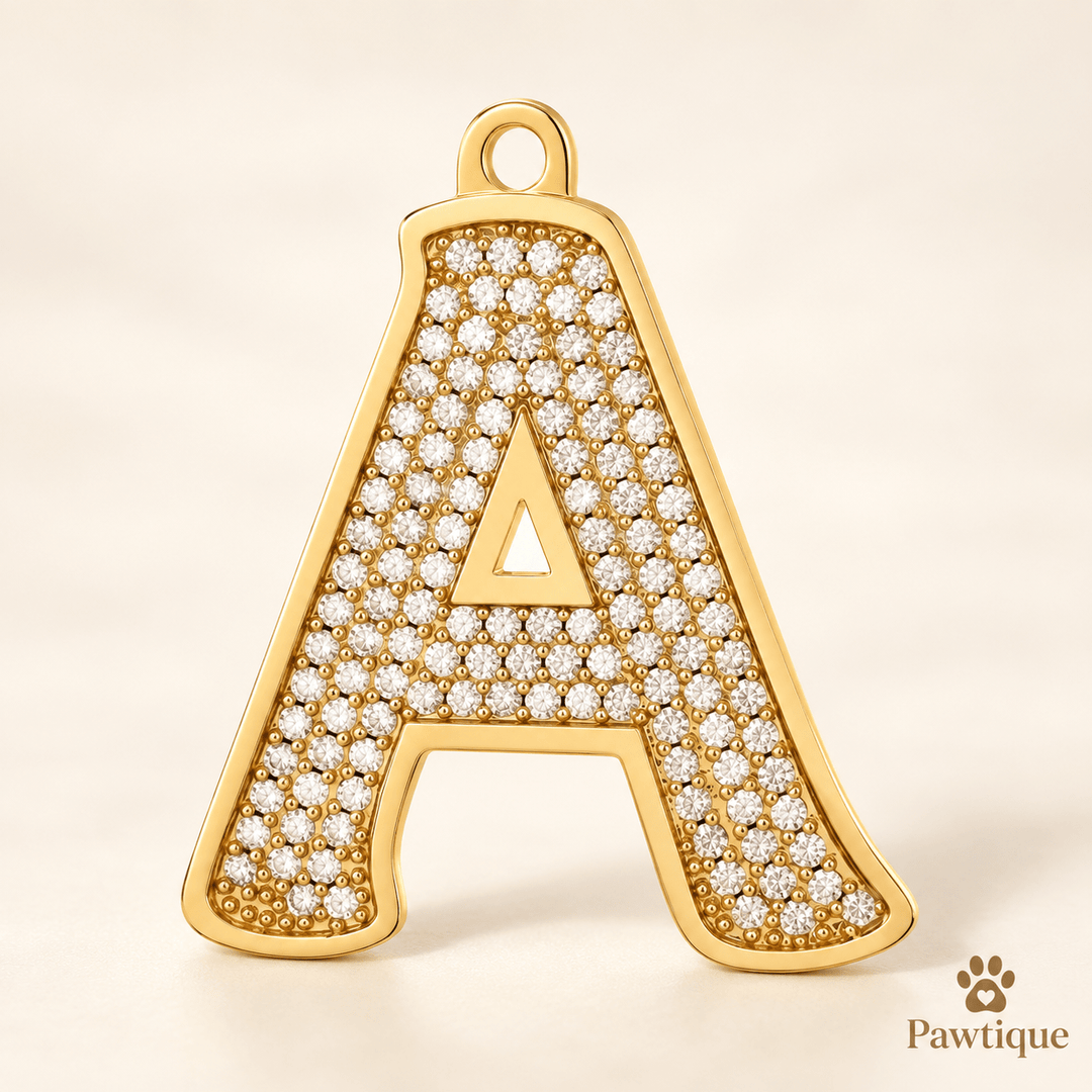 Pawtique SignatureSpark™ Pavé Initial Pet Tag - Pawtique