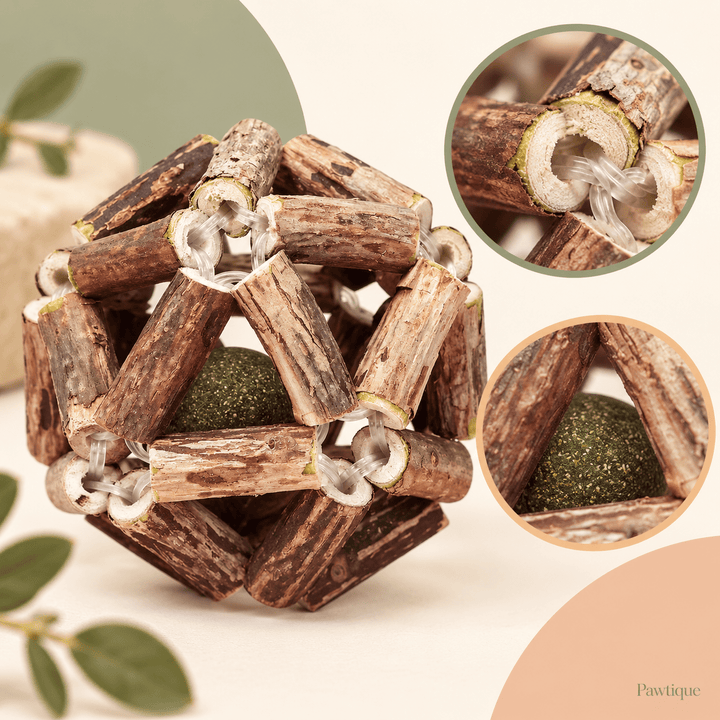 Pawtique Silvervine &amp; Catnip Cage Ball - Pawtique