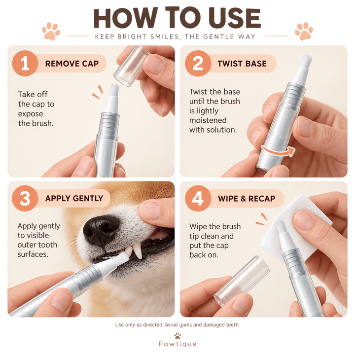 Pawtique SmileDetail™ Tooth Surface Care Pen - Pawtique