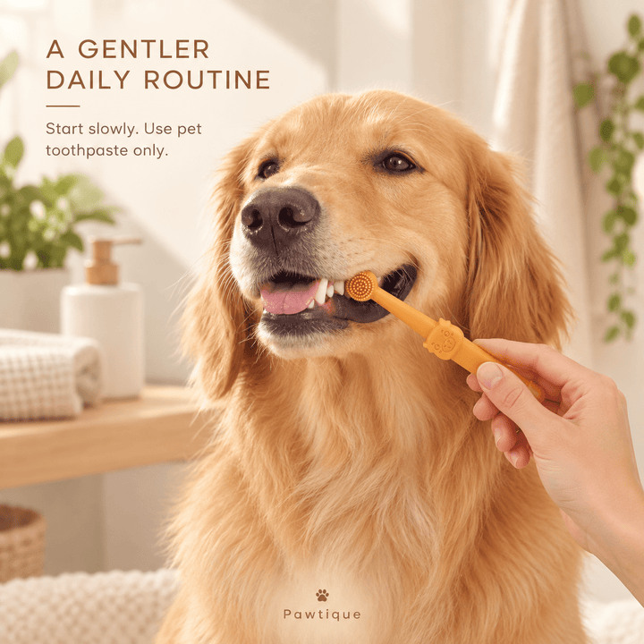 Pawtique SmileStart™ Silicone Pet Toothbrush Set - Pawtique