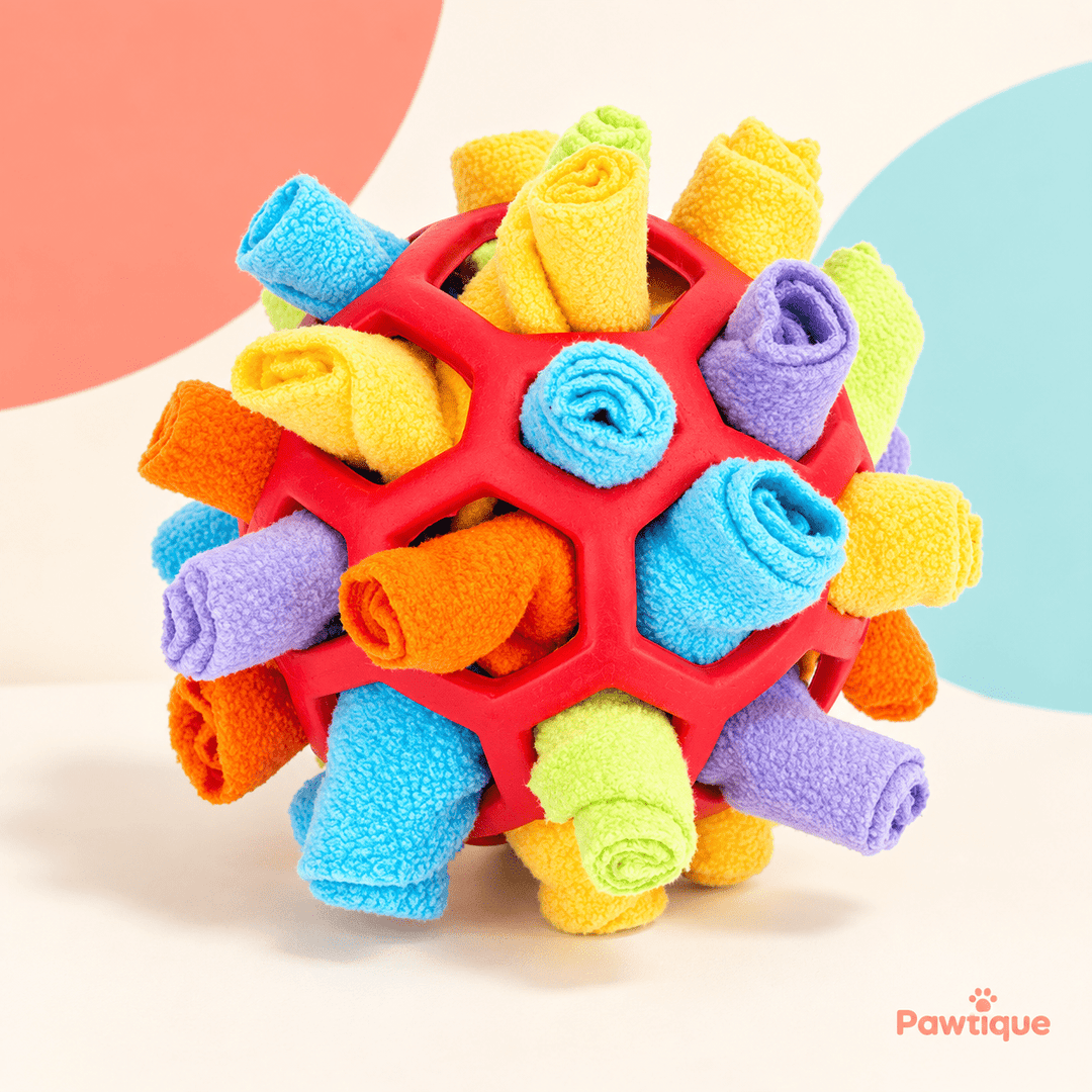 Pawtique SniffRoll™ Treat-Hiding Dog Snuffle Ball - Pawtique