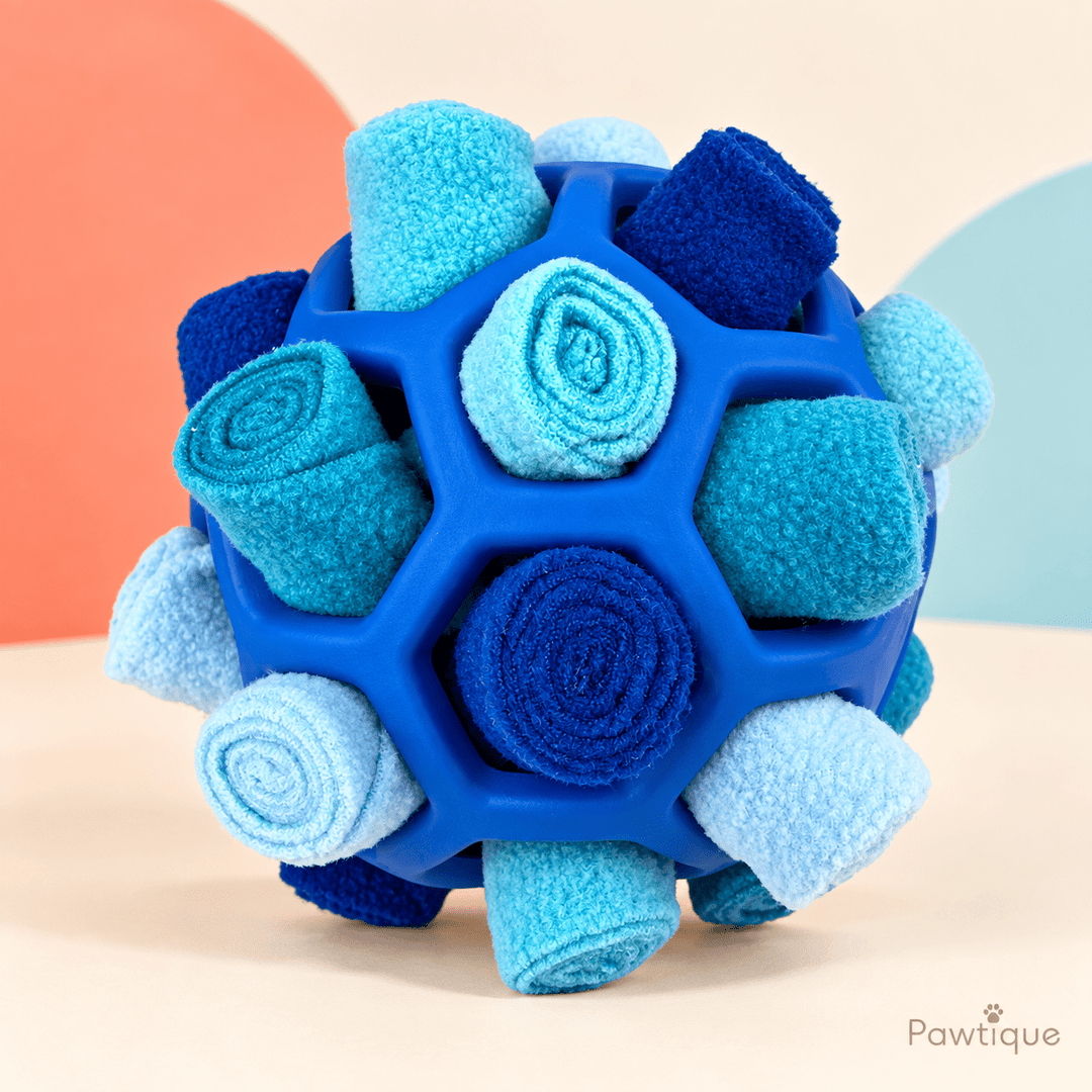 Pawtique SniffRoll™ Treat-Hiding Dog Snuffle Ball - Pawtique