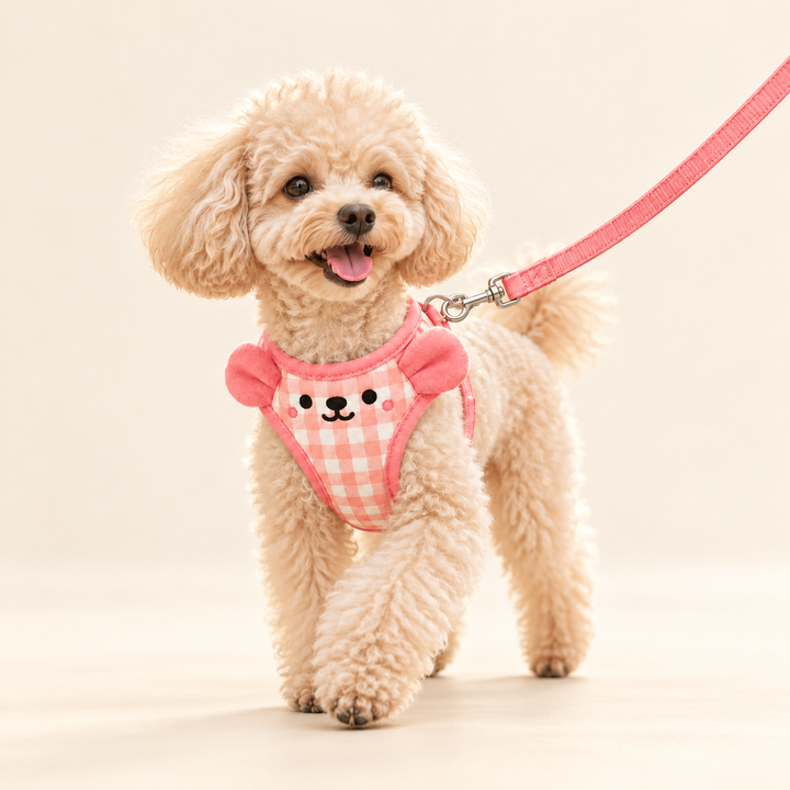 Dog wearing the pink SnuggleBear gingham vest harness and matching leash on a warm cream background.