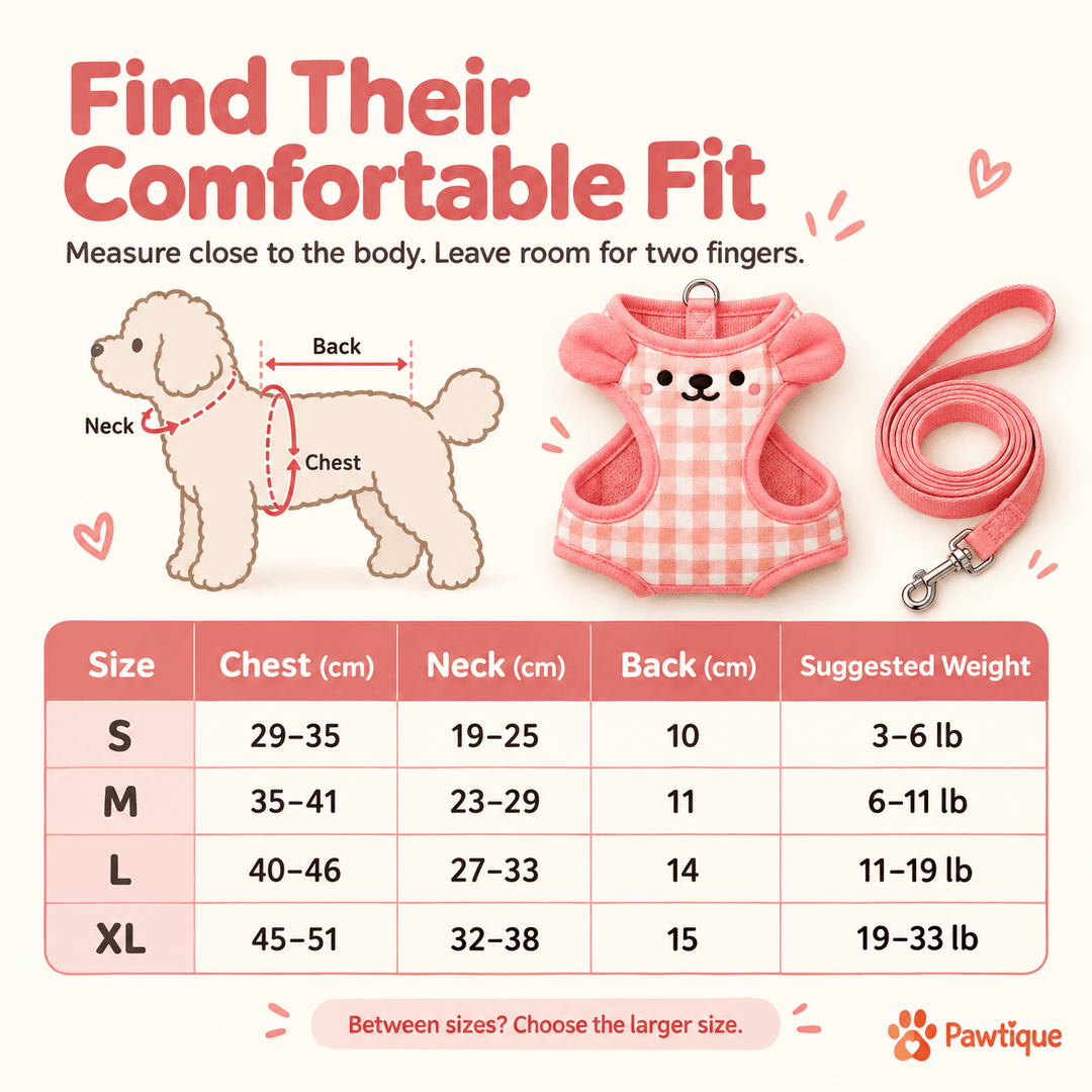 Pawtique SnuggleBear™ Gingham Vest Dog Harness &amp; Leash Set - Pawtique