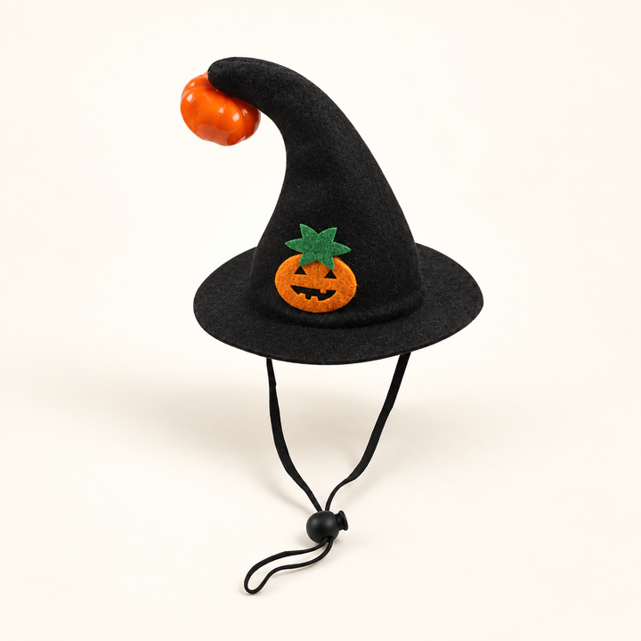 Black pumpkin witch hat for cats and small dogs