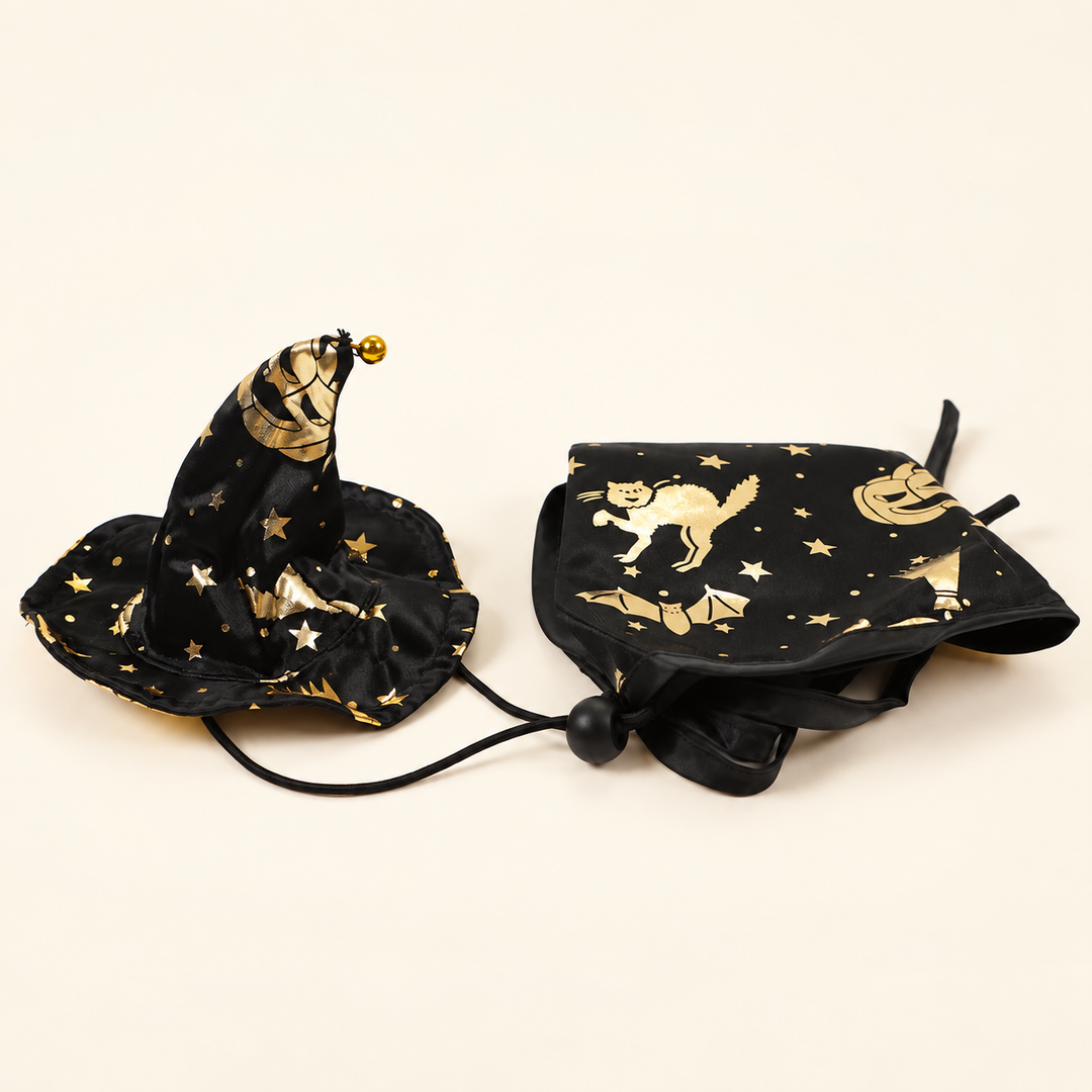 Black and gold witch hat and cape set for pets