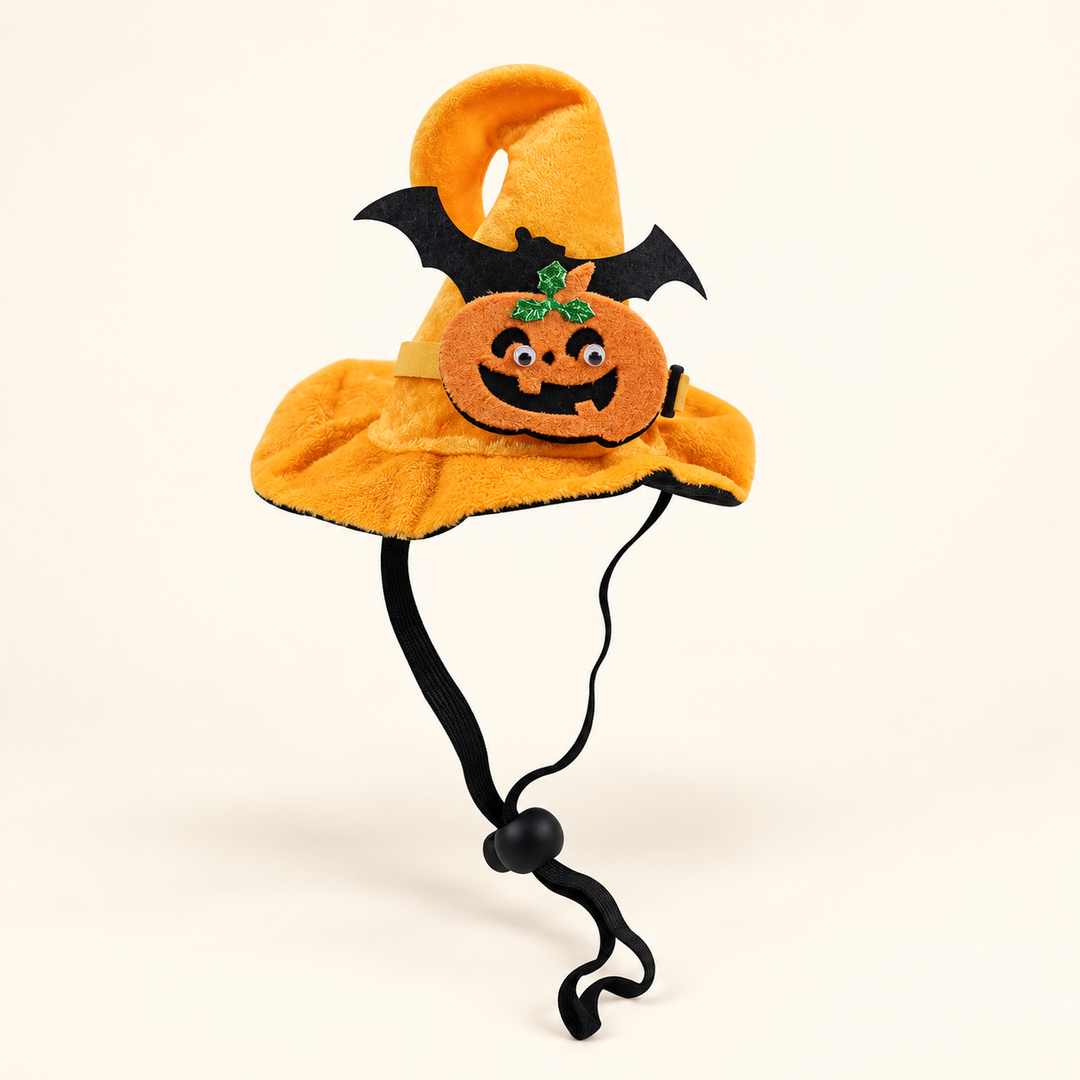 Orange plush pumpkin bat witch hat for pets