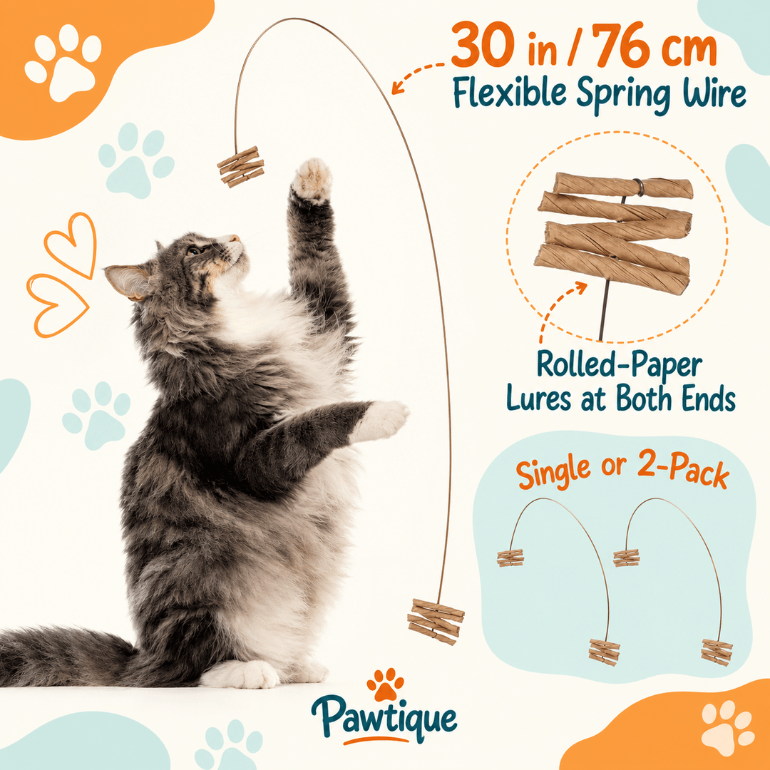 Pawtique Spring-Wire Interactive Cat Chase Toy - Pawtique