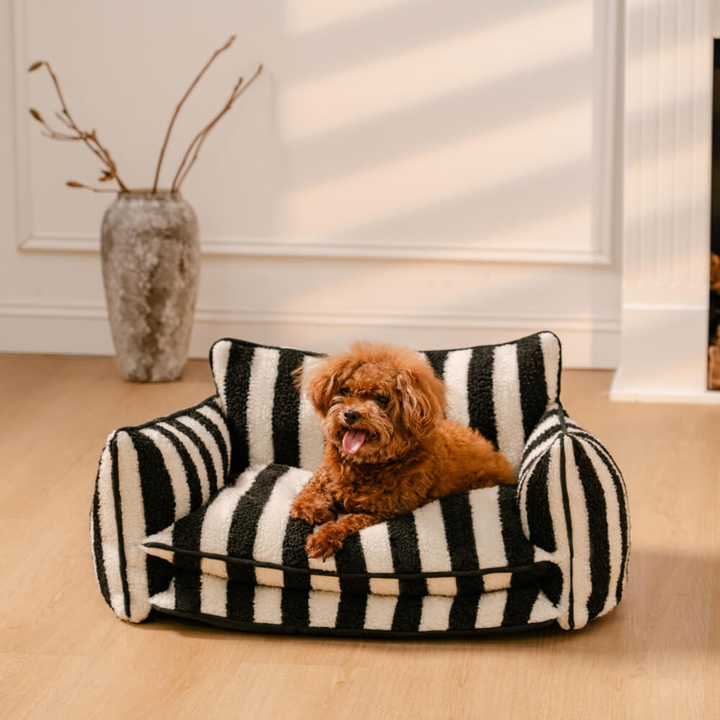 Classic Black Stripe StripeNest pet sofa bed with a dog in a natural room