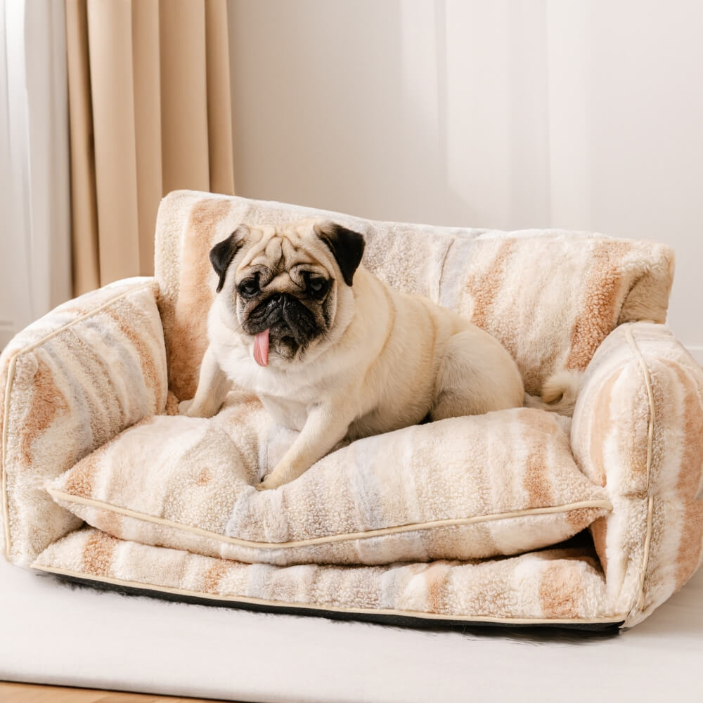 Sand and Brown Stripe StripeNest pet sofa bed with a pug in the original curtain-side room scene.