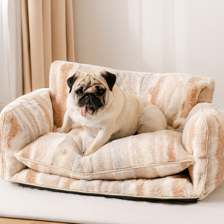 Sand and Brown Stripe StripeNest pet sofa bed with a pug in the original curtain-side room scene.