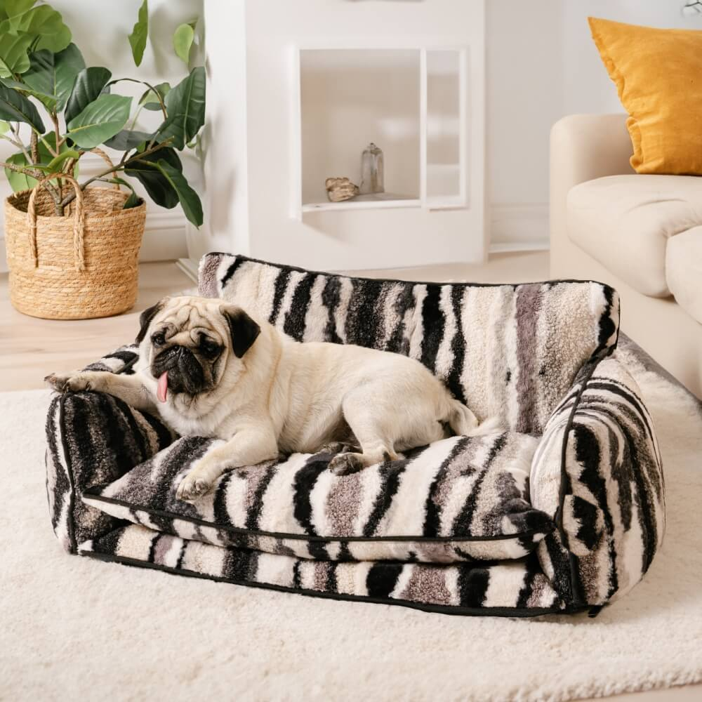 Zebra Black and White StripeNest pet sofa bed with a resting pug in a natural room