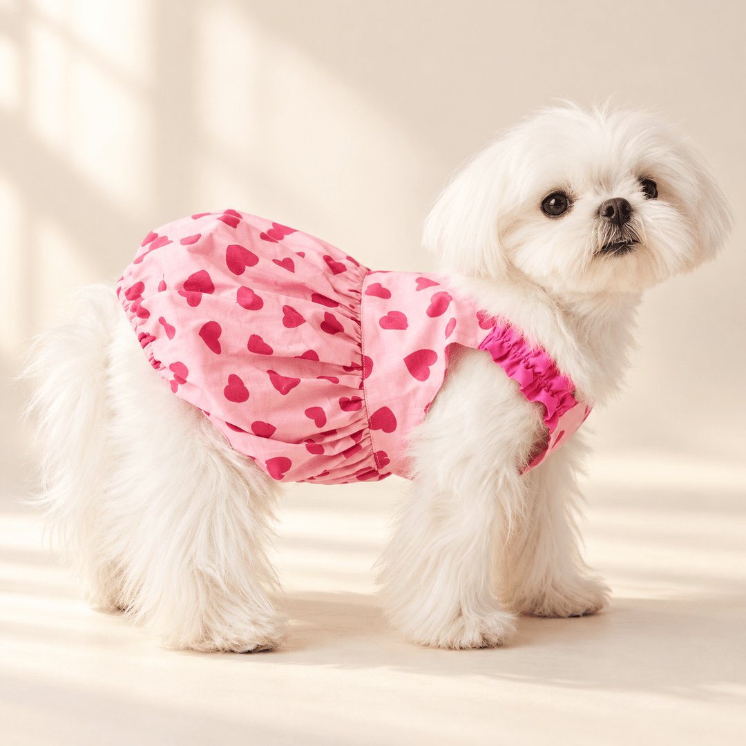 Pawtique Sweetheart Pink Dog Dress - Pawtique