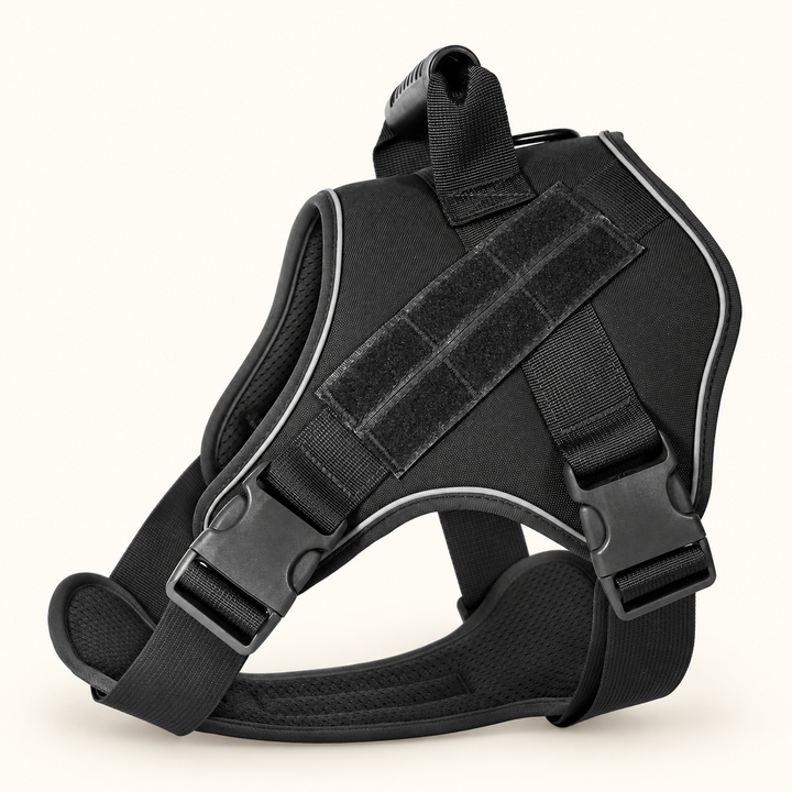 Pawtique Tactical Dog Harness in Black with buckle closures and mesh-textured lining