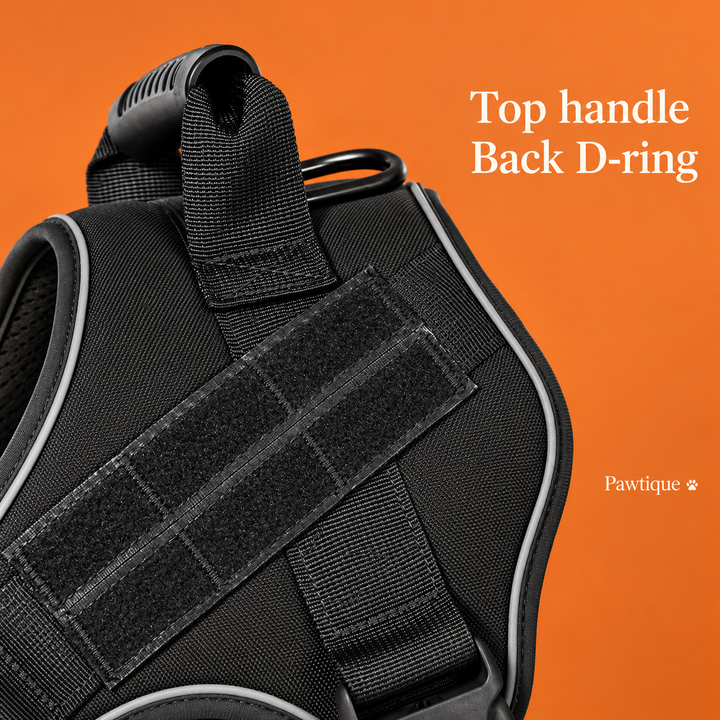 Close-up of the Tactical Dog Harness top handle and back D-ring