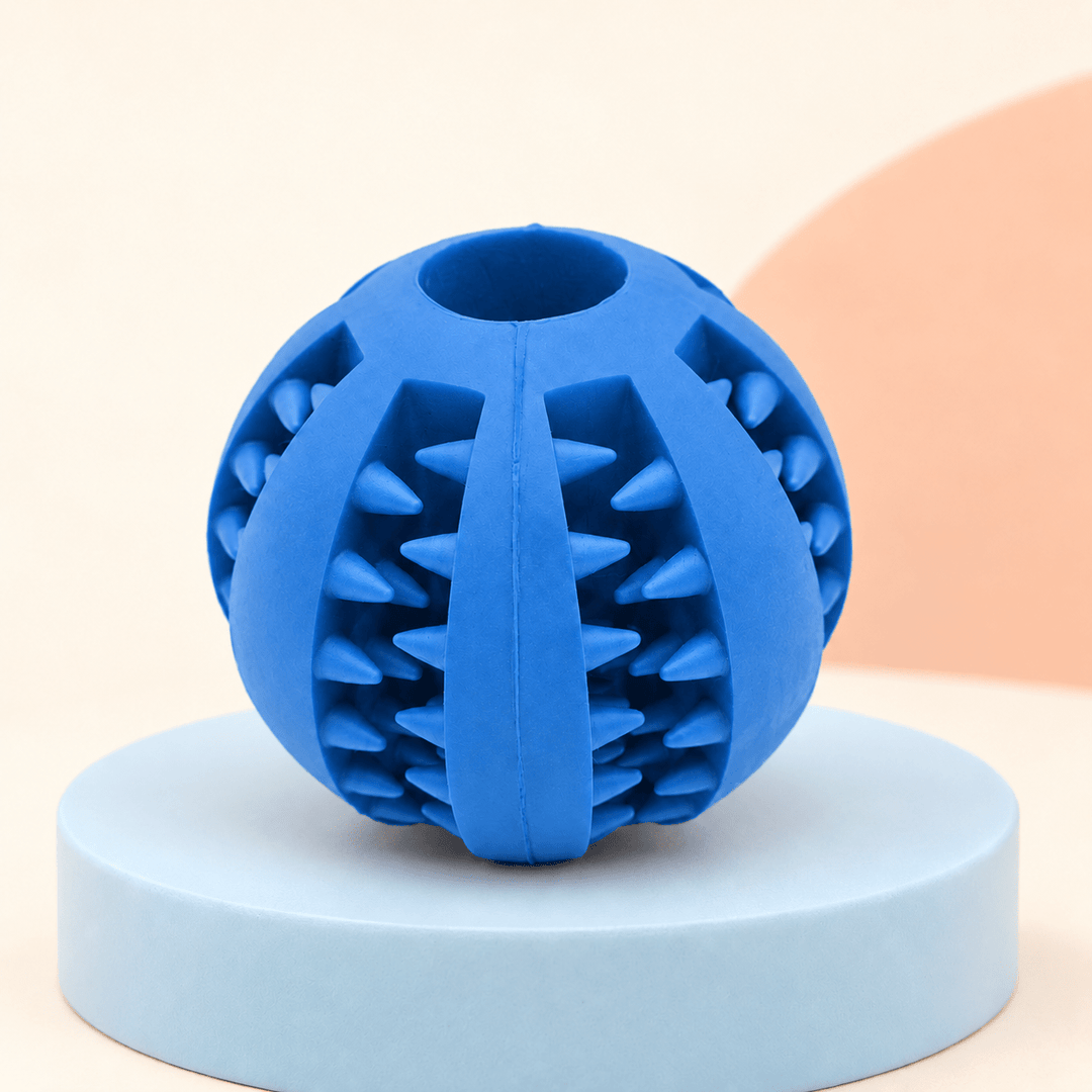 Pawtique TextureTreat™ Fillable Dog Ball Toy - Pawtique