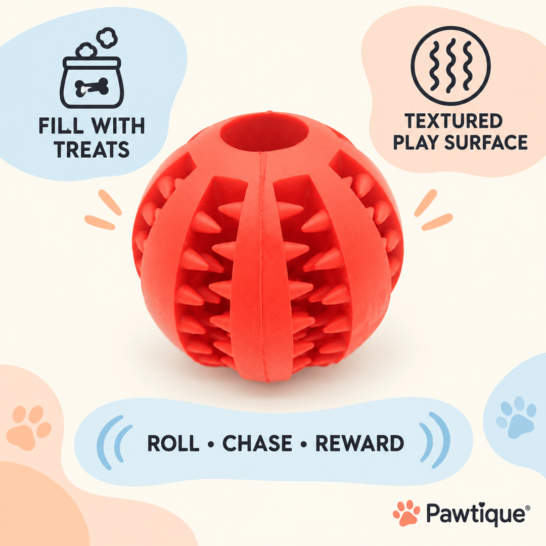 Pawtique TextureTreat™ Fillable Dog Ball Toy - Pawtique