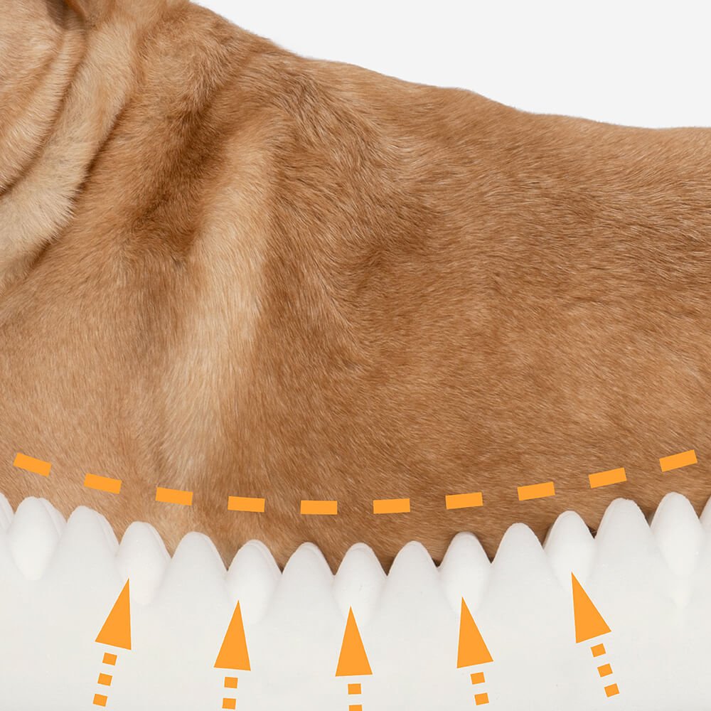 Pawtique TogetherNest™ Oversized Human &amp; Dog Bed - Pawtique