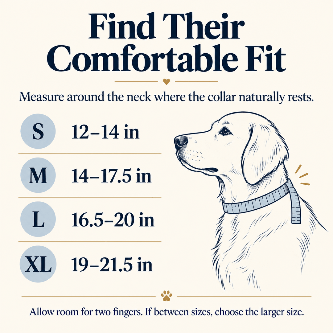 Pawtique TraceTag™ Reflective Smart Finder Collar - Pawtique