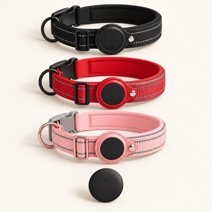 Pawtique TraceTag™ Reflective Smart Finder Collar - Pawtique