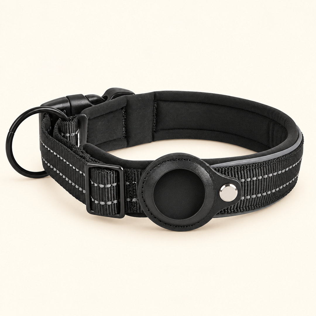 Black padded dog collar with empty AirTag-compatible holder, black buckle and leash ring; AirTag not included.
