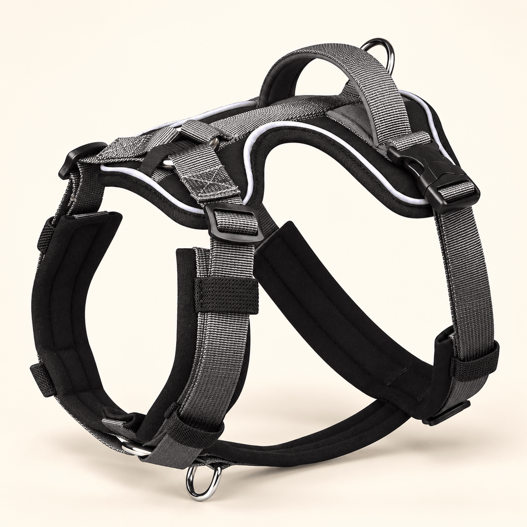 Pawtique TrailControl™ Reflective Handle Dog Harness - Pawtique